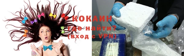 кокс Алексин