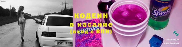 сатива Осташков
