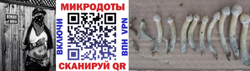 Псилоцибиновые грибы Magic Shrooms  shop Telegram  Болхов  где купить  